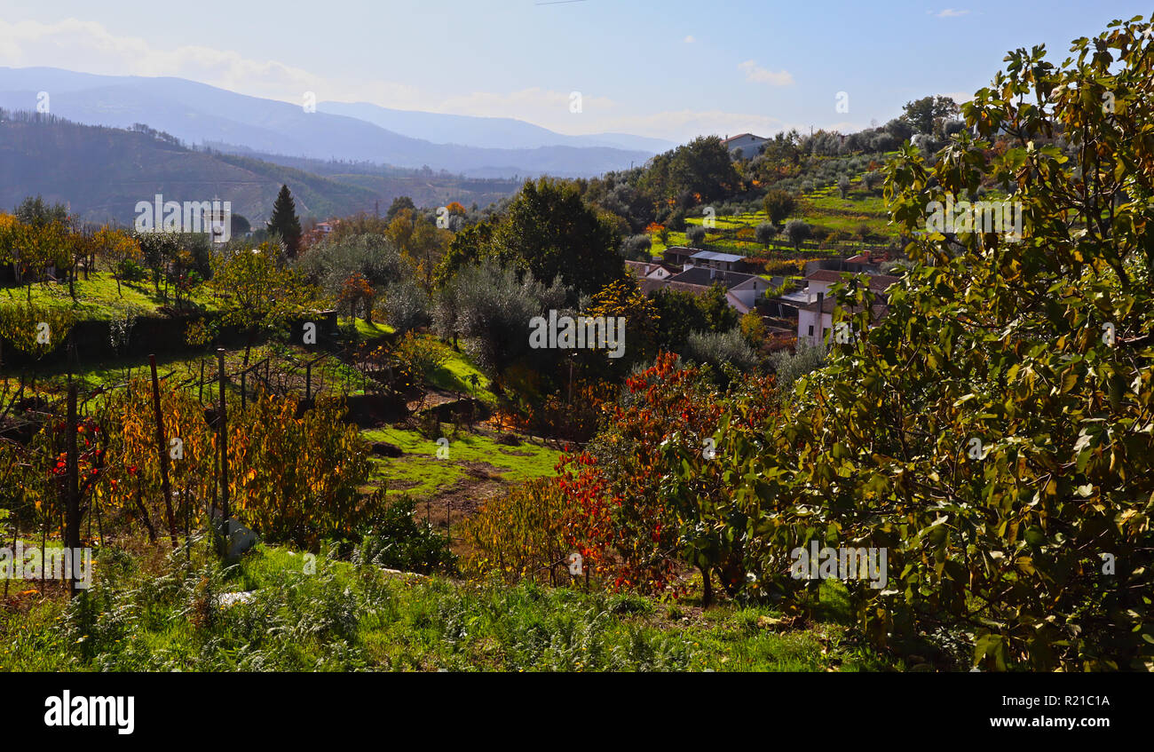 Un matin d'une capture d'un point de vue de l'automne Barril de Alva dans le centre du Portugal. Banque D'Images