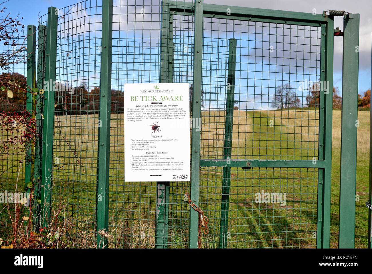 L'avis sur une porte de la région de Windsor Great Park avertissement sur les dangers de tiques, Berkshire England UK Banque D'Images
