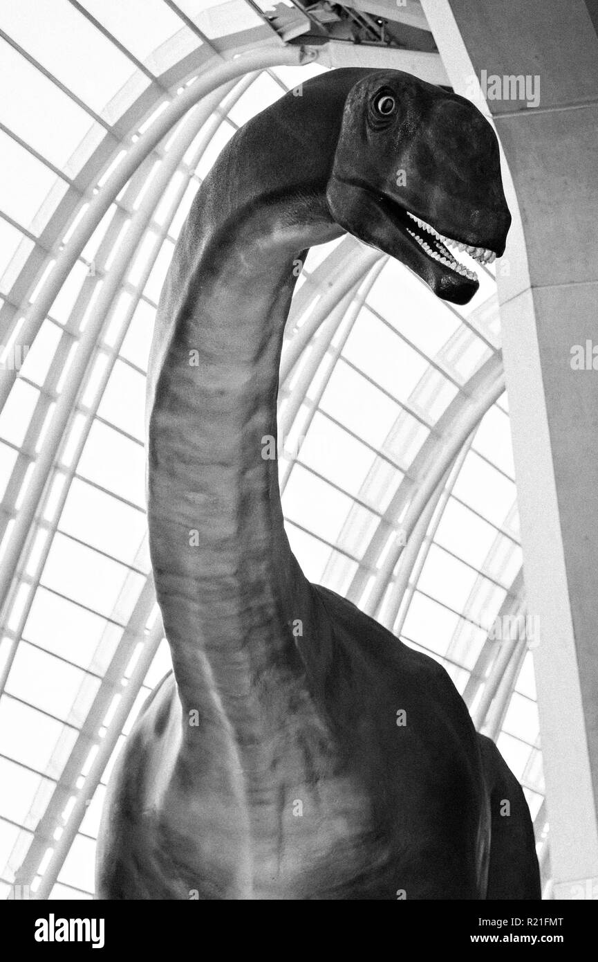 Une taille de la vie brontysaurus au Musée des sciences de dinosaures à l'Arts des Sciences, Valence, Espagne. Banque D'Images