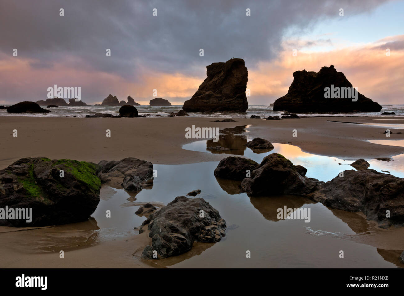 Ou02403-00...OREGON - La chaude lumière du soleil reflétant sur le sable humide et les ruisseaux qui se trouve le long de la plage à Bandon, situé sur la côte de l'Oregon. Banque D'Images