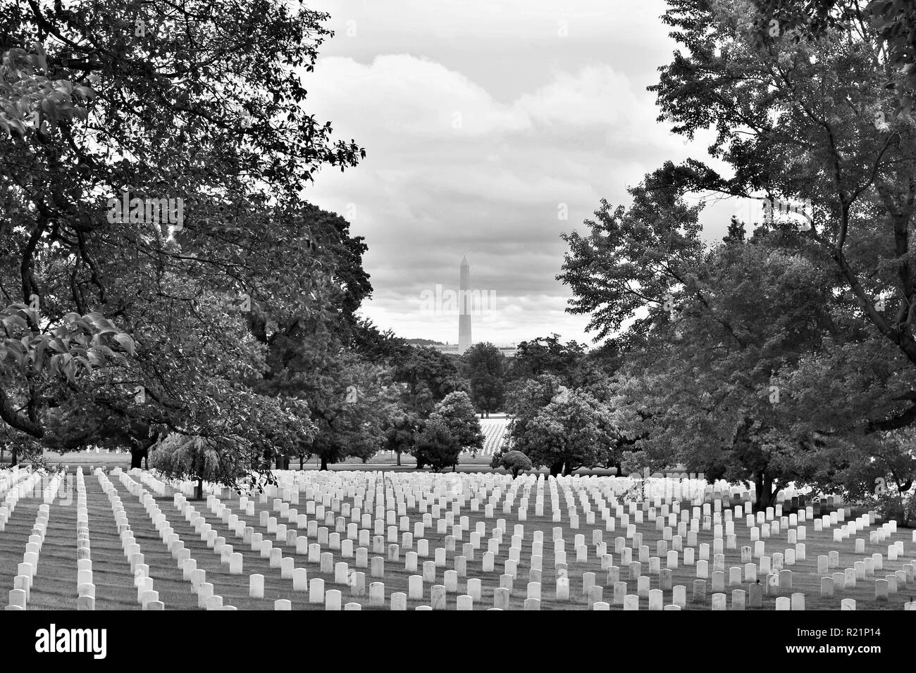 Washington Monument Vue Du Cimetiere National D Arlington En Noir Et Blanc Photo Stock Alamy