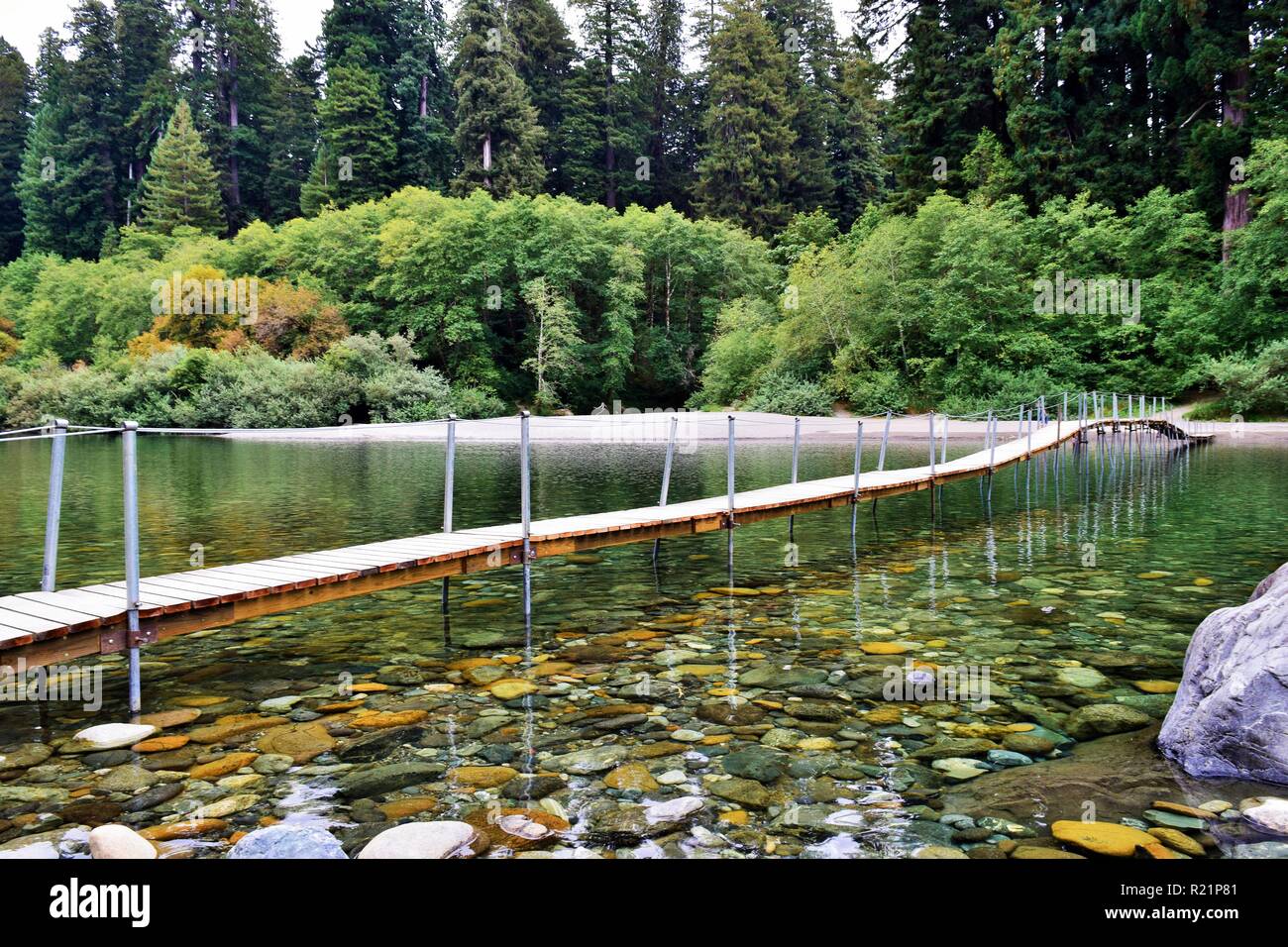 Jedediah smith redwoods Banque de photographies et d’images à haute ...