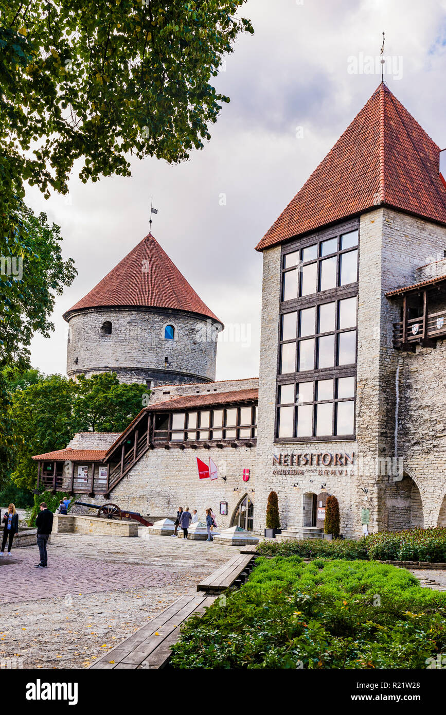 Jardin du roi danois et la Tour, Tallinn, Tartu, Estonie, de comté des États baltes, l'Europe. Banque D'Images