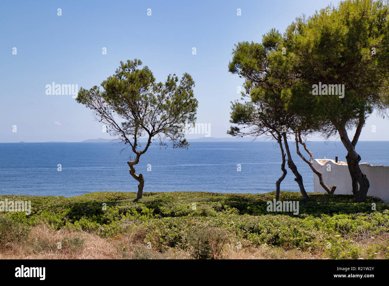 Vue sur la mer. au premier plan les arbres Banque D'Images