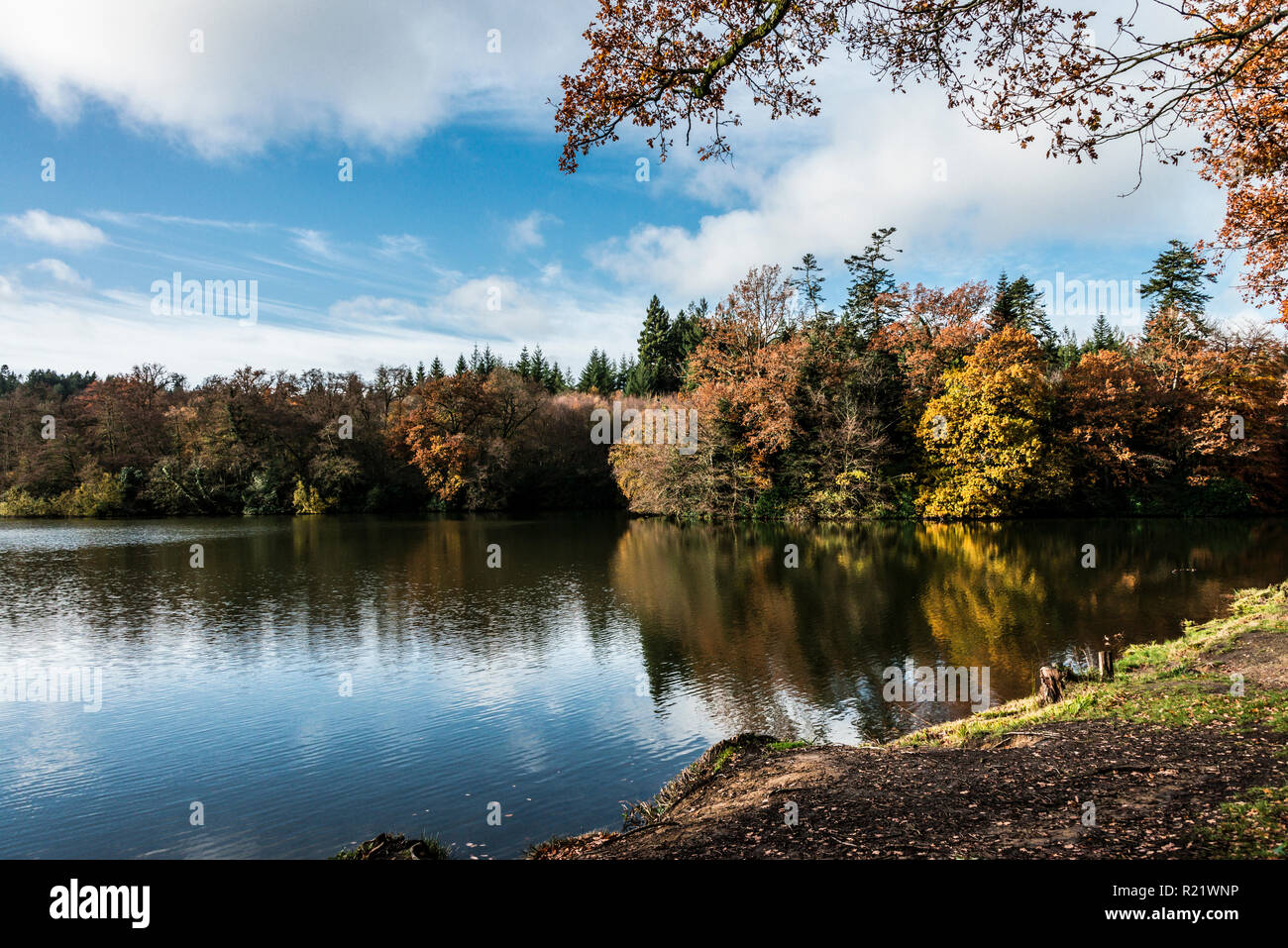 Lac de Shearwater en automne Banque D'Images