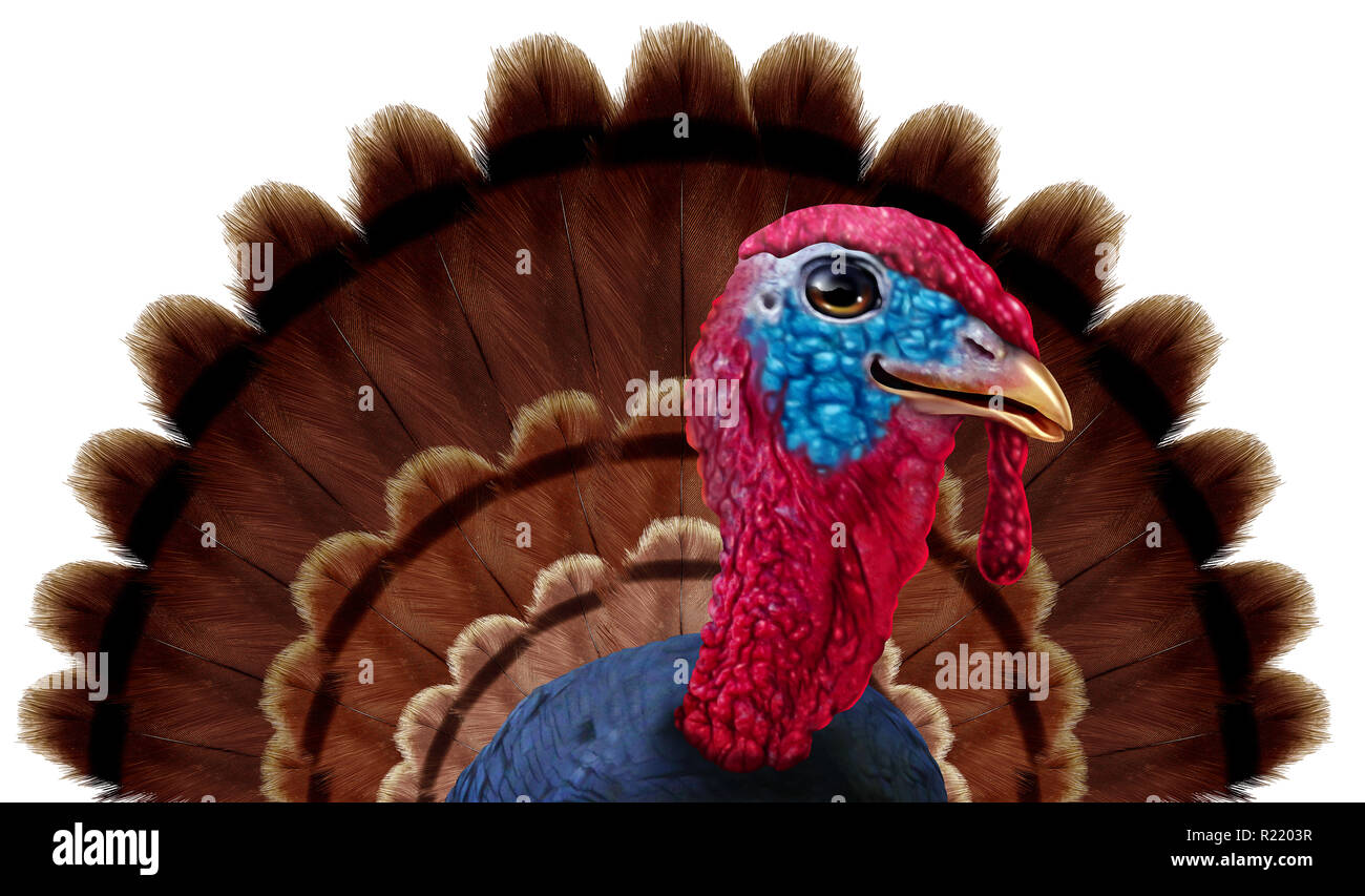 Thanksgiving turkey feathers close up caractère comme une drôle de saison automne icône d'oiseaux sur un fond blanc avec des éléments 3D illustration. Banque D'Images