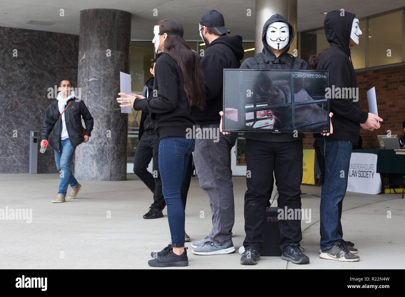 Les activistes végétaliens former un "cube de vérité" à l'Université de l'Oregon à Eugene, Oregon, USA. Banque D'Images