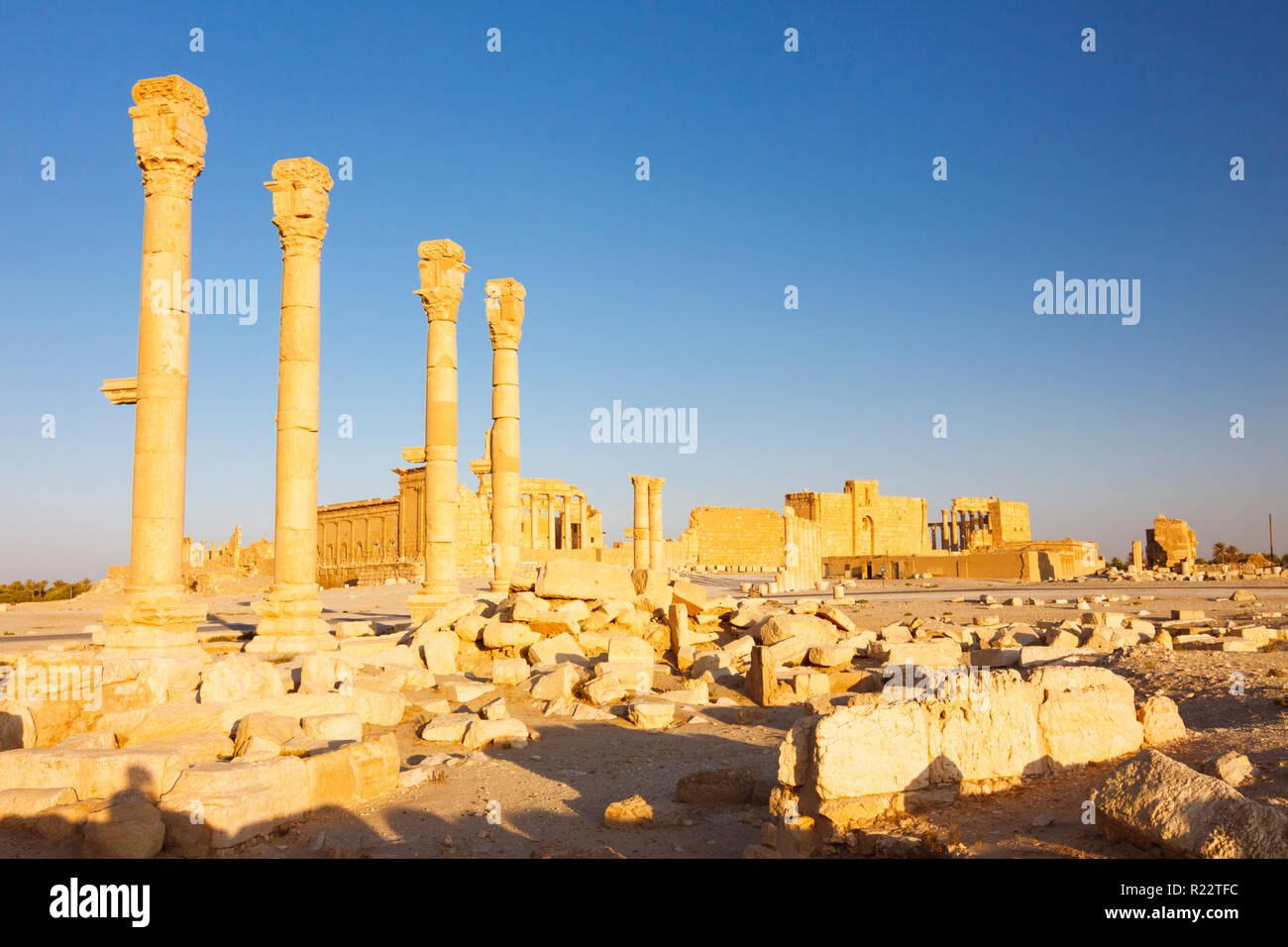 Palmyre, le Gouvernorat de Homs, Syrie - Mai 27th, 2009 : Grande Colonnade de Palmyre. Temple de Bel en arrière-plan. Banque D'Images