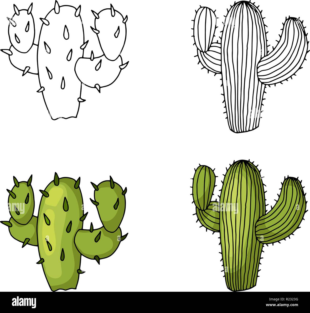 Cactus Dessin A La Main Et De Couleur Vert Lime Naturel Avec Les Ombres Image Vectorielle Stock Alamy Cactus Dessin A La Main Et De Couleur Vert Lime Naturel Avec Les Ombres Image Vectorielle Stock Alamy