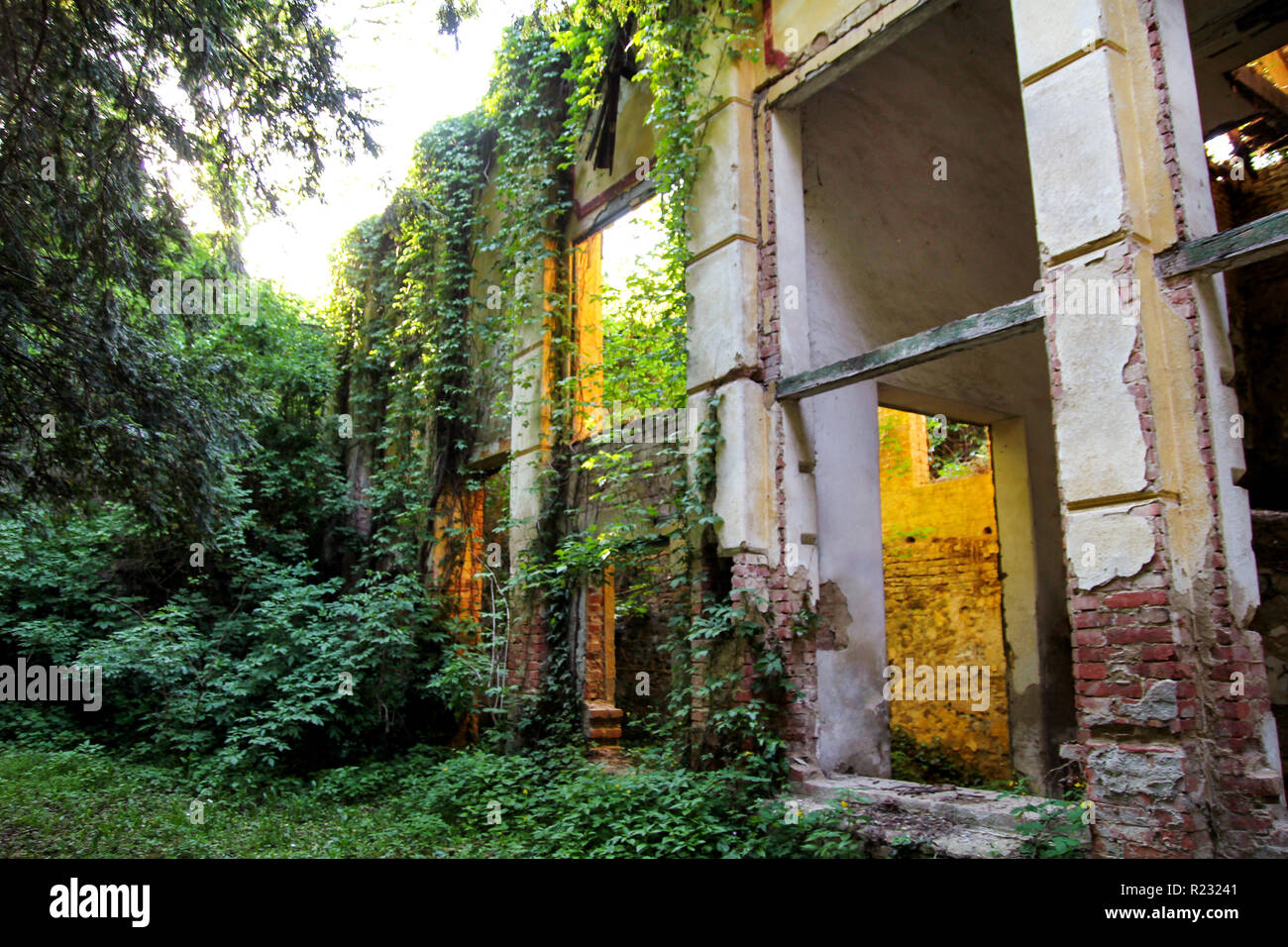 Ancienne usine de béton structure dépassé par la nature / Rusty old, ruineuse et bâtiment abandonné d'usine, lierres sont couvrant les murs. Banque D'Images