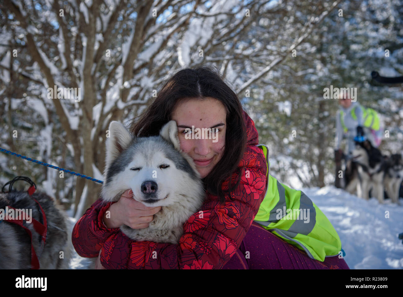 Fille avec chien husky dans les montagnes enneigées sur une journée ensoleillée Banque D'Images