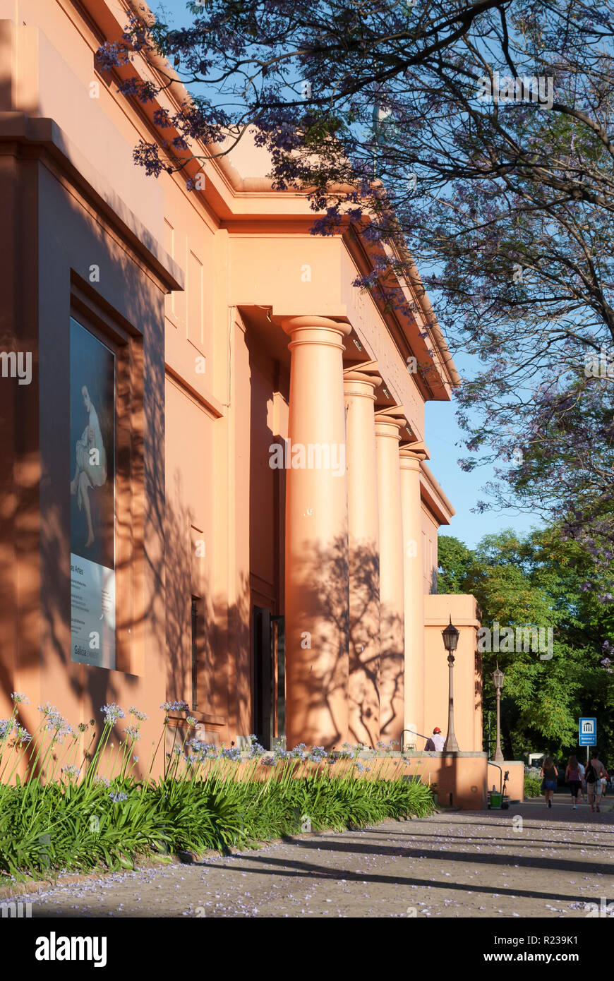 Jacarandas à Buenos Aires, Argentine, au printemps Banque D'Images