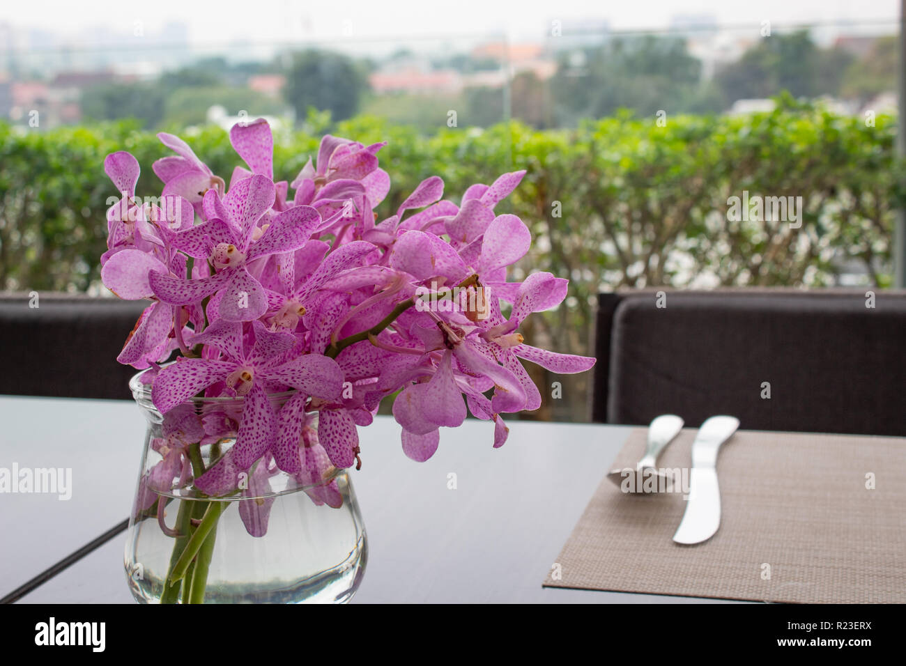 Belles orchidées dans un vase de verre Banque D'Images