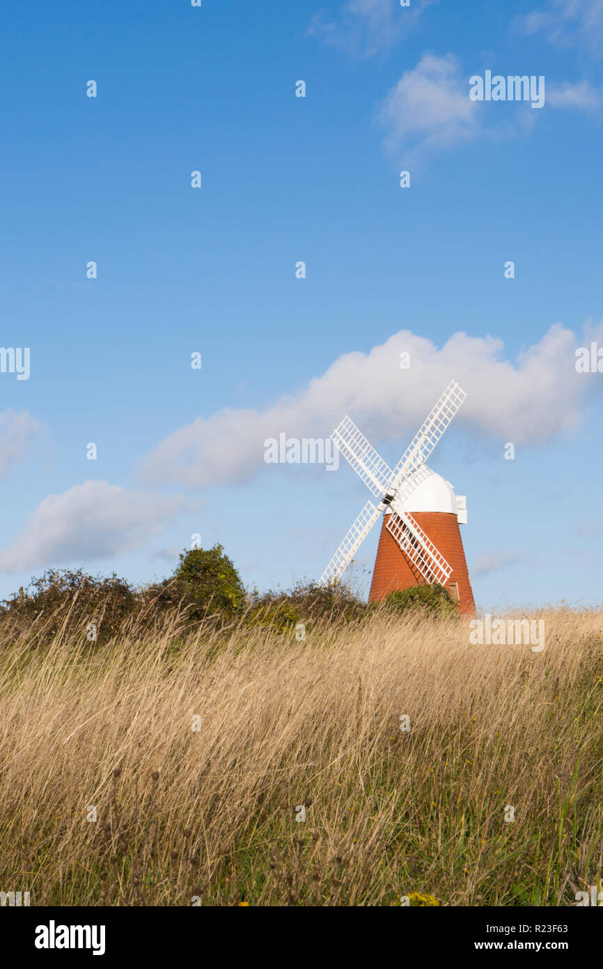 Halnaker moulin, West Sussex, UK. Le Parc National des South Downs. Novembre. restaurée avec des voiles. Banque D'Images
