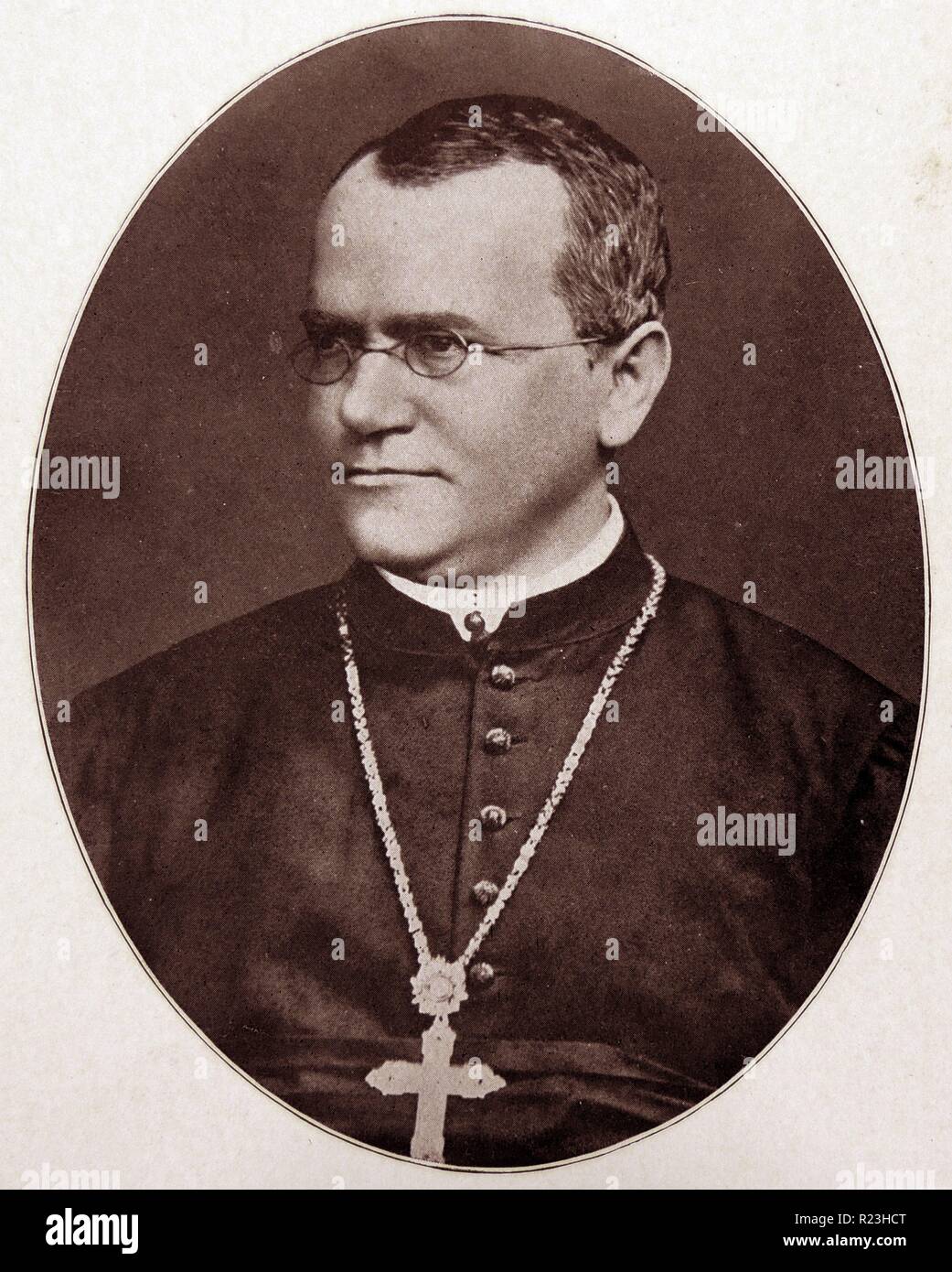 Johann Gregor Mendel (1822-1884) Saustrian et botaniste biologiste. À partir de la ''endelism'', Londres, 1905, par Reginald Punnett Crundell. Banque D'Images