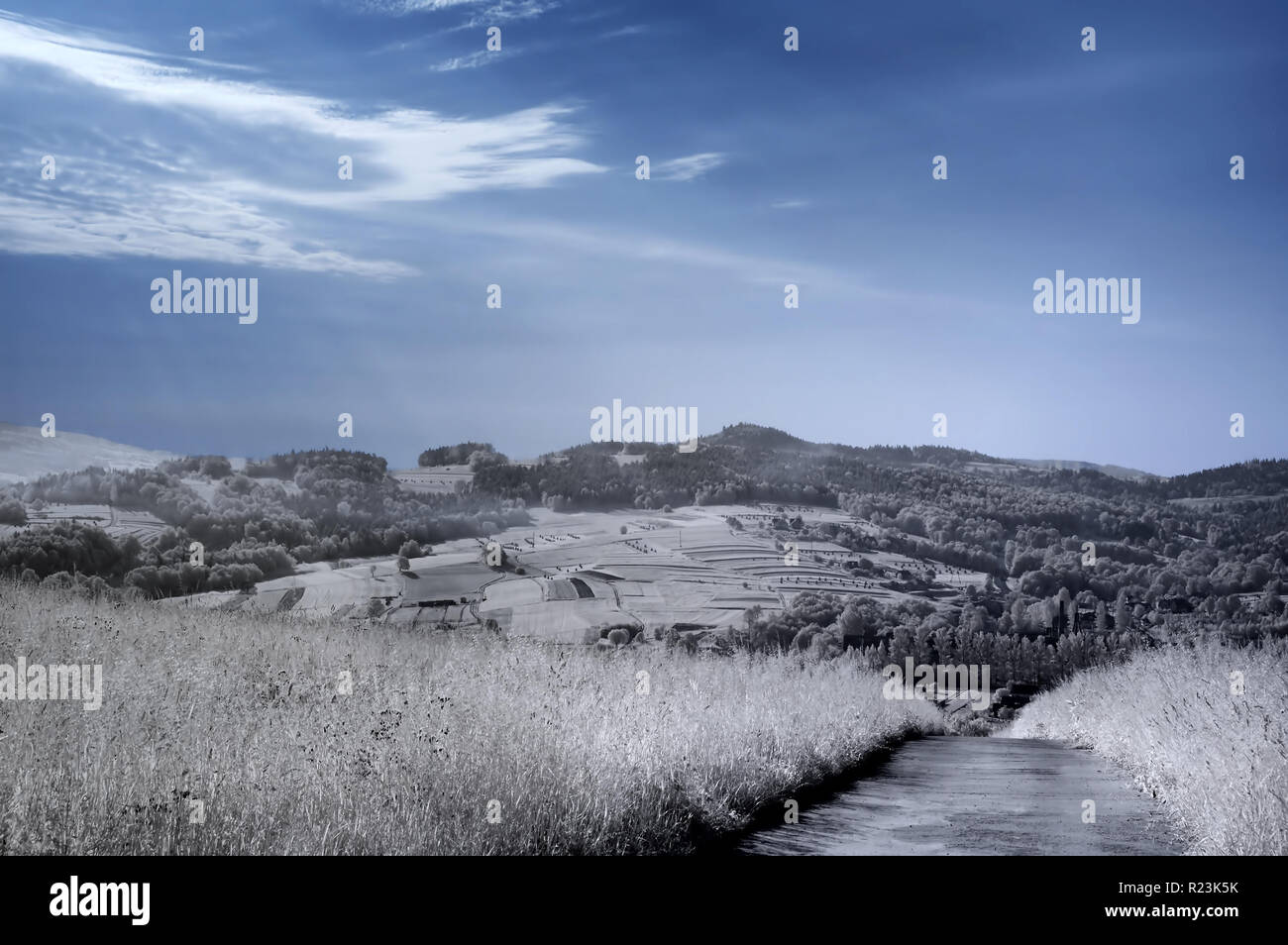 Paysage de printemps, vue de champs verts vu à travers un filtre infrarouge Banque D'Images