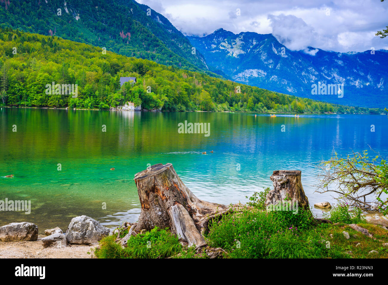 Le lac de Bohinj. Bohinj. Parc National de Triglav. La région de la Haute-Carniole. La Slovénie, l'Europe. Banque D'Images