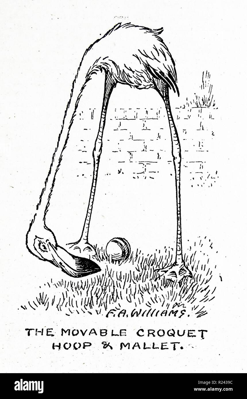 À partir d'une série d'illustrations représentant un pélican 1900 Banque D'Images