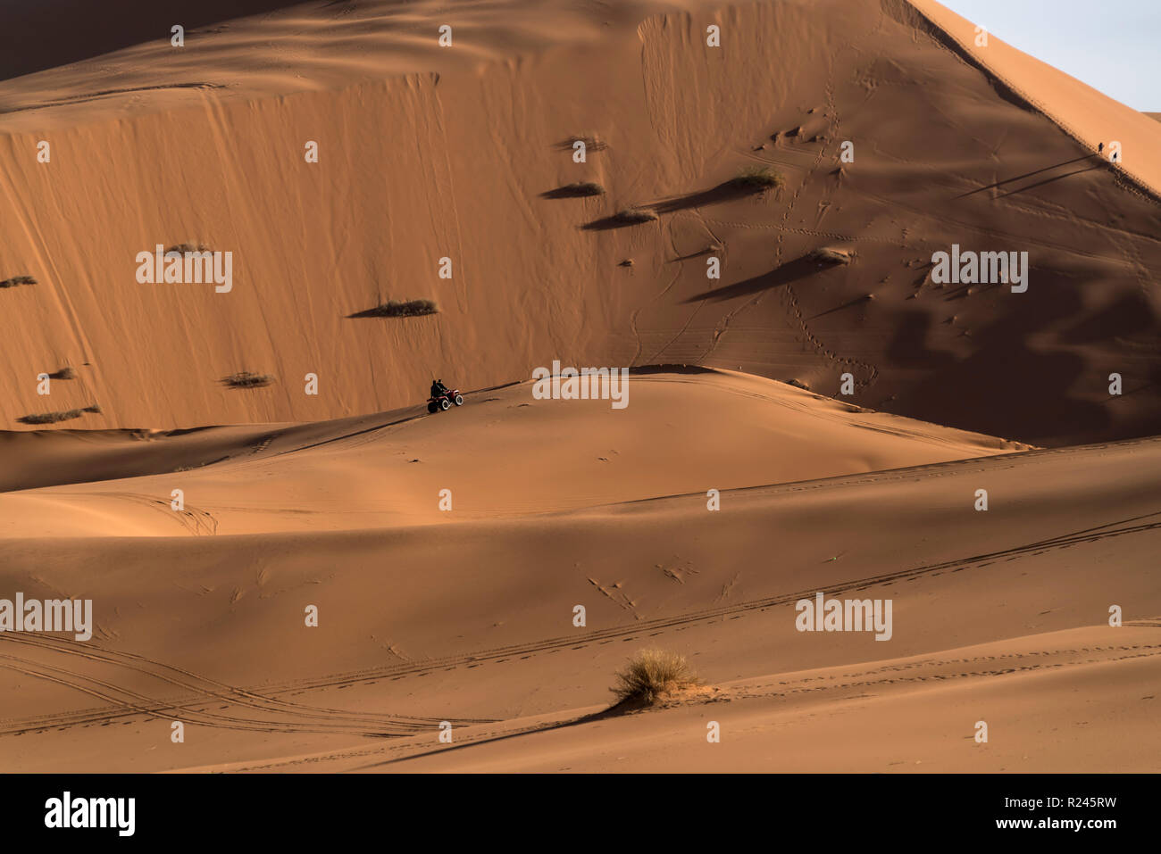 En Quad Sahara Ancien Wüste bei der Merzouga, Maroc | Véhicule tout-terrain dans le désert du Sahara, près de Merzouga, Royaume du Maroc, l'Afrique Banque D'Images