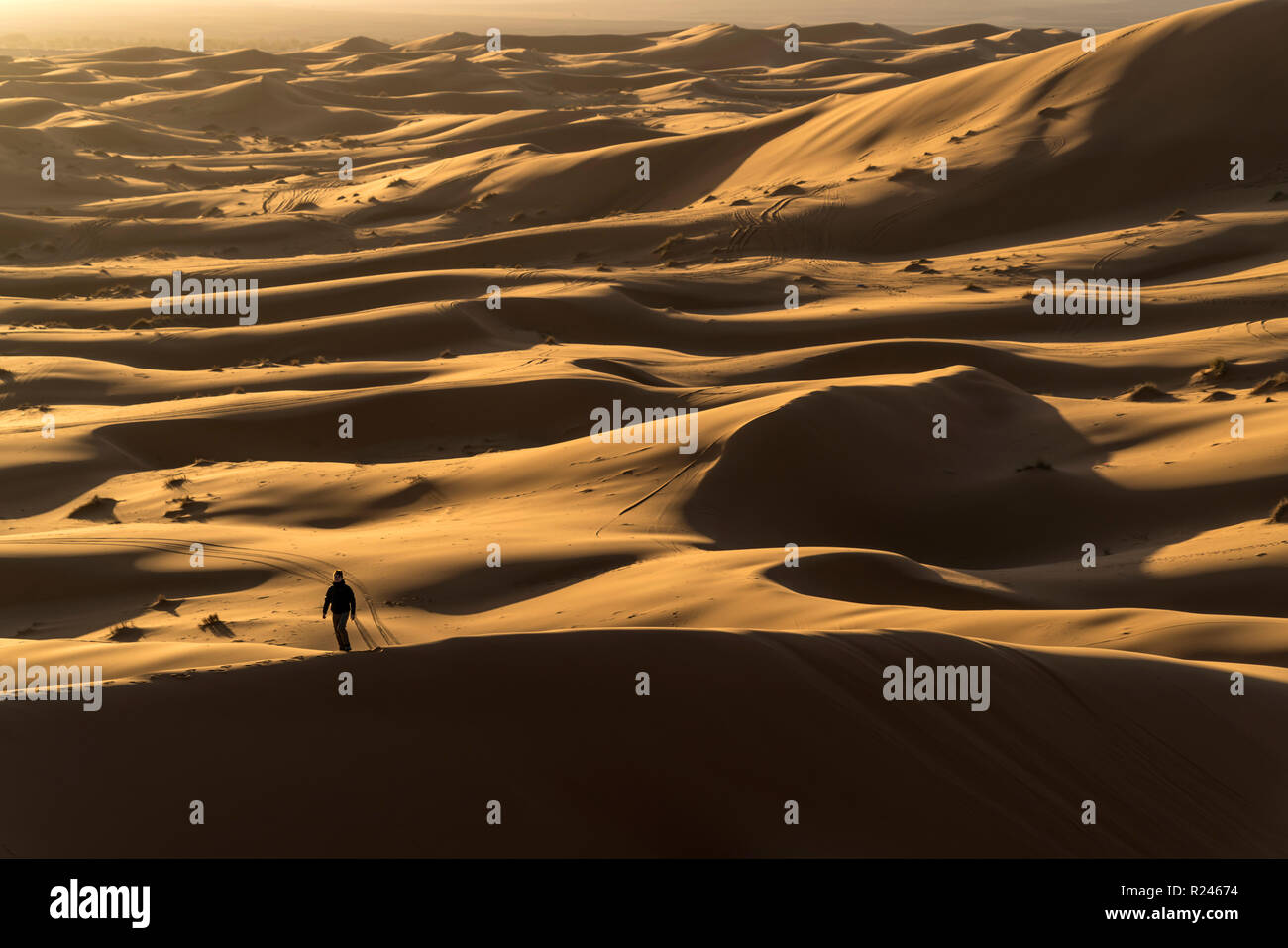 In der Junge Sahara Ancien Wüste bei Merzouga, Maroc | garçon dans le désert du Sahara, près de Merzouga, Royaume du Maroc, l'Afrique Banque D'Images