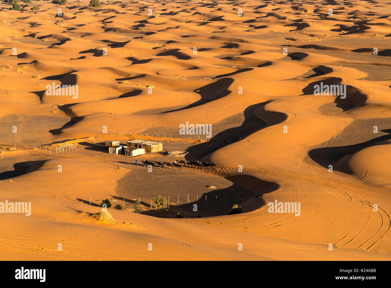 Dans Zeltcamp bei der Sahara Ancien Wüste, Merzouga, Maroc | Camp dans le désert du Sahara, près de Merzouga, Royaume du Maroc, l'Afrique Banque D'Images