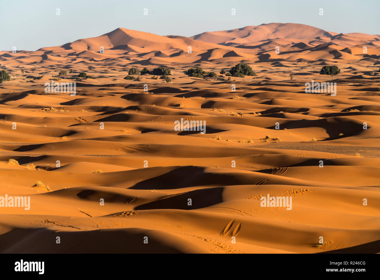 Sand dünen bei der Sahara Ancien Wüste, Merzouga, Maroc | dunes de sable dans le désert du Sahara, près de Merzouga, Royaume du Maroc, l'Afrique Banque D'Images