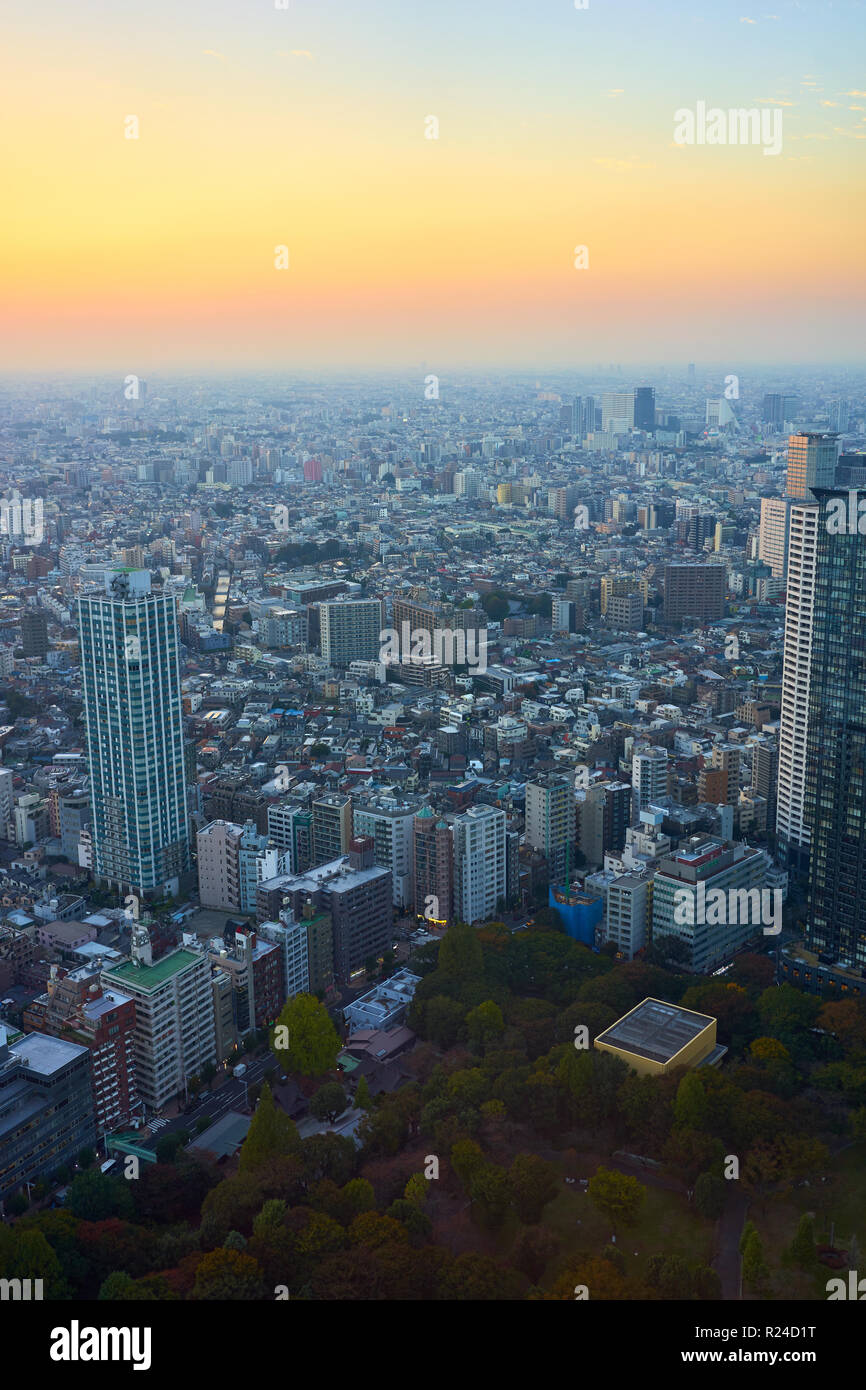 Cityscape view au coucher du soleil de la ville de Tokyo, Tokyo, Japon, Asie Banque D'Images