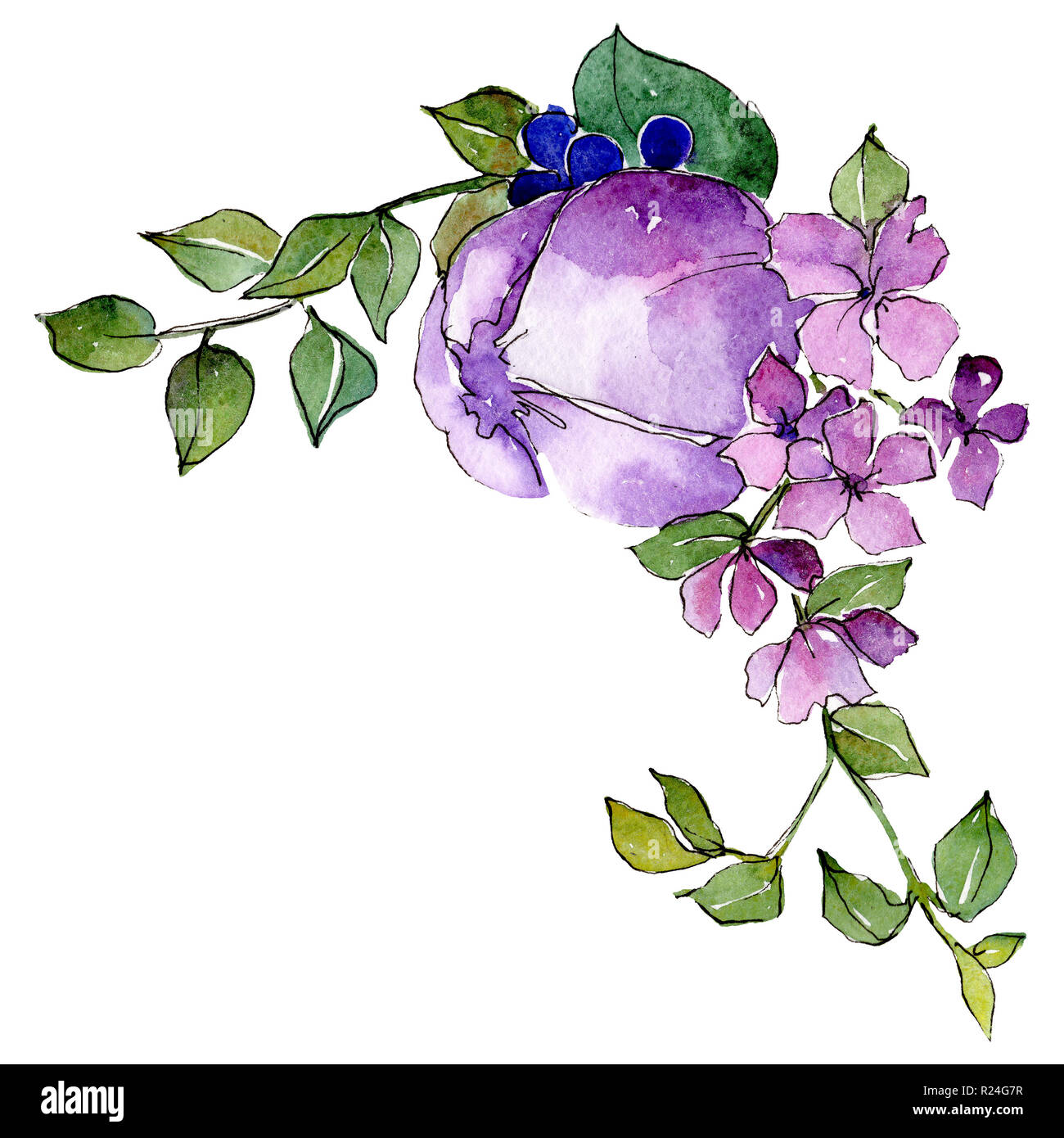 Fleurs violettes. Fleurs isolées de l'élément d'illustration. Jeu de fond.  Aquarelle Dessin aquarelle bouquet Photo Stock - Alamy