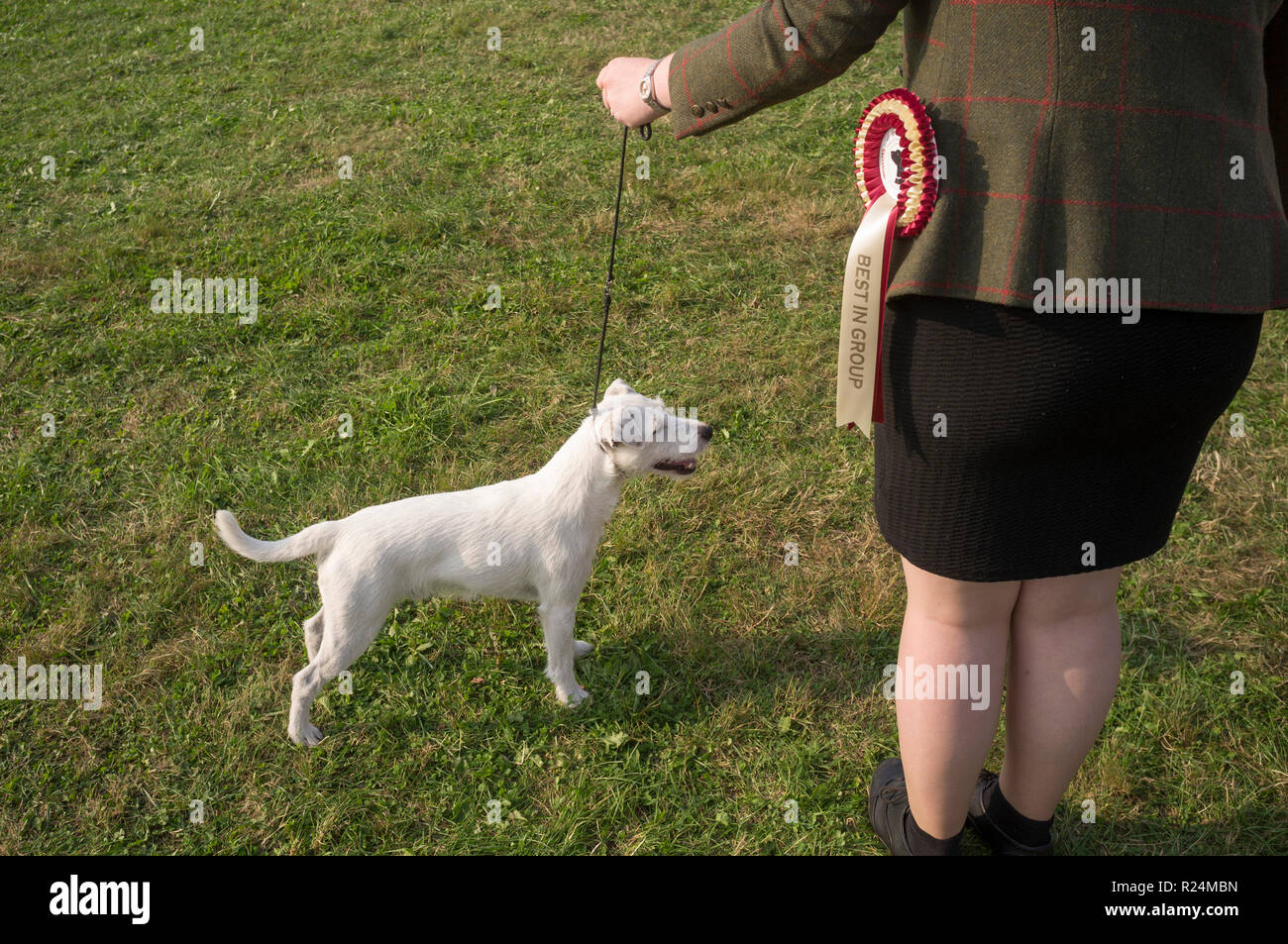 Le propriétaire d'un chien dans une veste en tweed et son chien avec rosette pour la meilleure dans le groupe à cheval et Thame Dog Show Banque D'Images