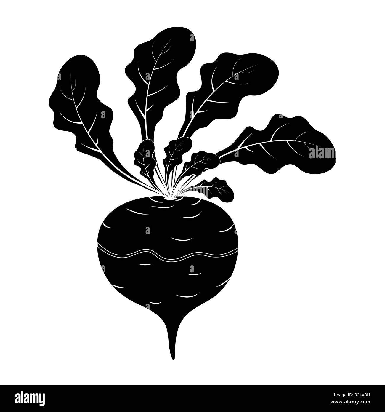 Le navet silhouette caricature icône concevoir isolé sur fond blanc Illustration de Vecteur