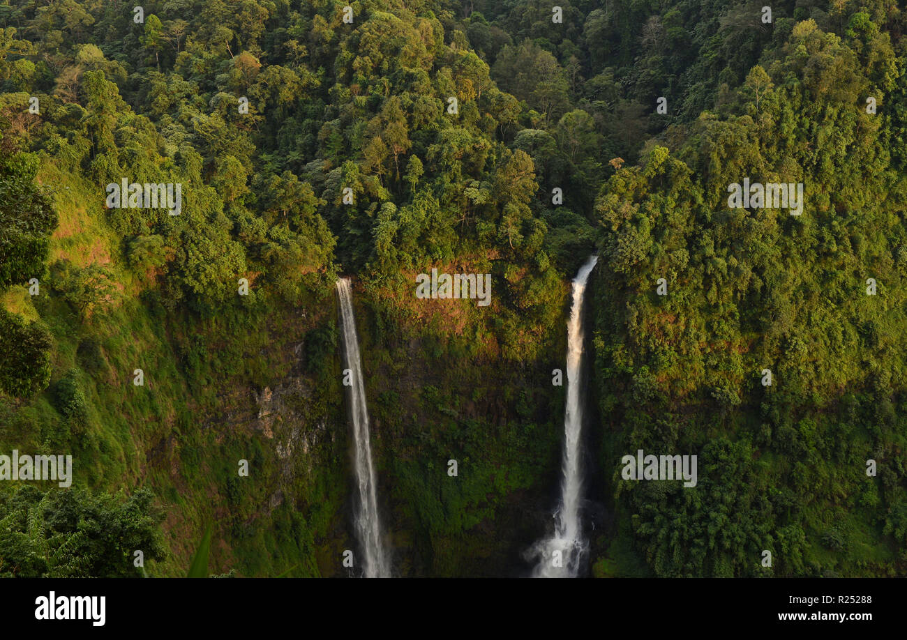 Champasak. 16 Nov, 2018. Photo prise le 16 novembre 2018 montre la cascade Tad Fane au Plateau des Bolavens dans la province de Champasak, au Laos. Credit : Liu Ailun/Xinhua/Alamy Live News Banque D'Images