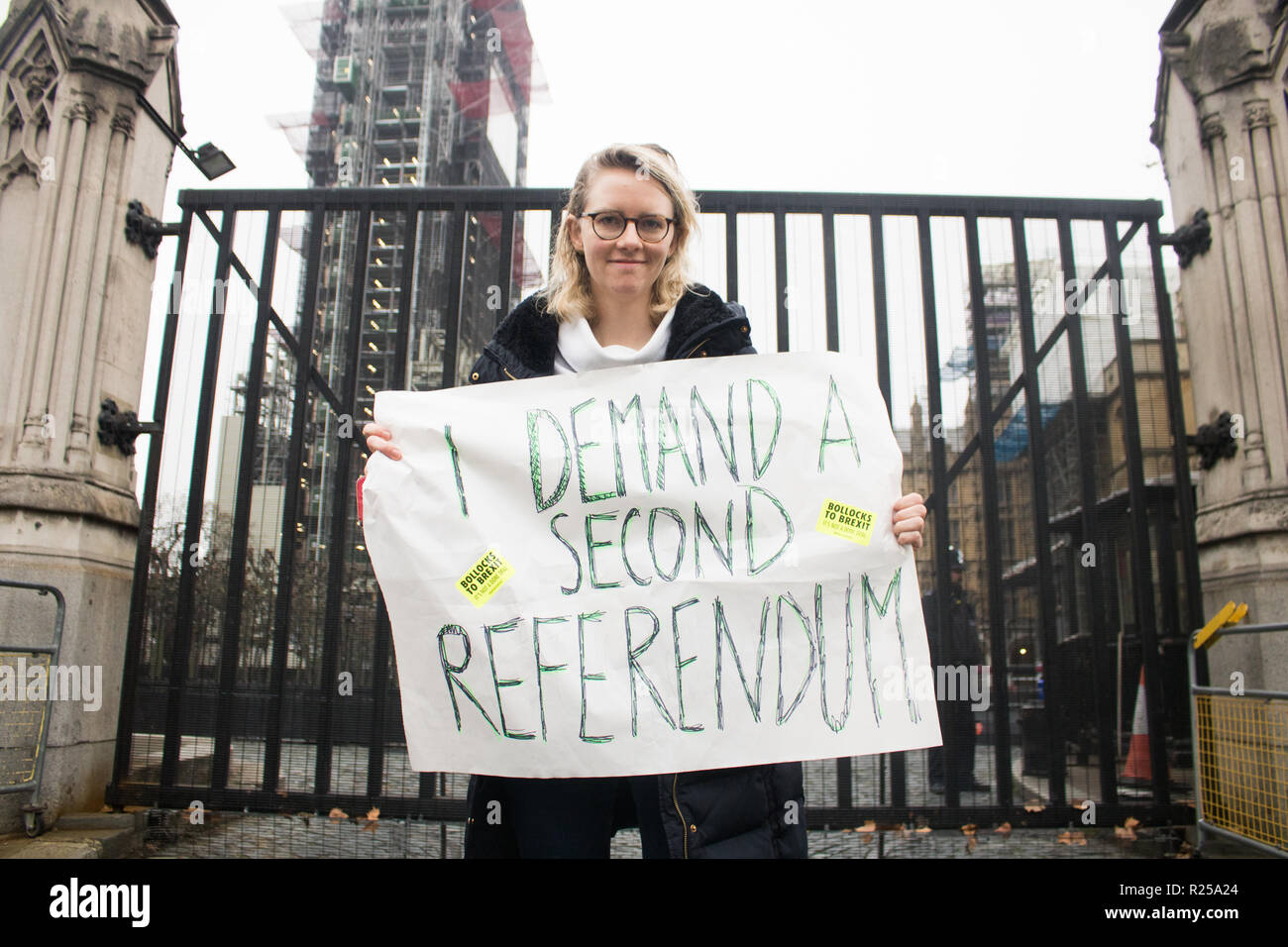 London UK. 16 novembre 2018. seul protestataire se distingue avec une pancarte à l'extérieur du palais de Wesrminster exigeant un second référendum sur Brexit Crédit : amer ghazzal/Alamy Live News Crédit : amer ghazzal/Alamy Live News Banque D'Images