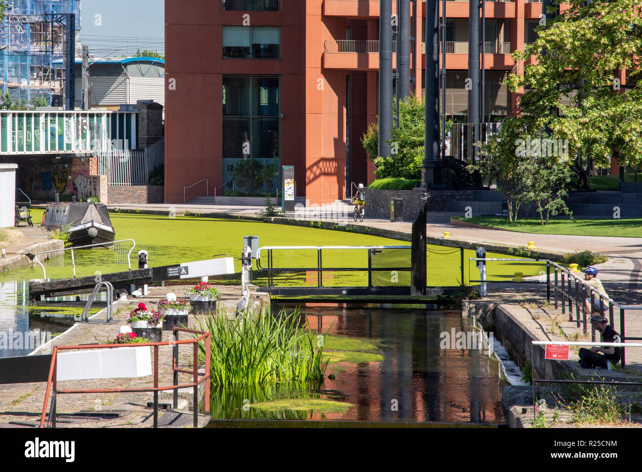 Londres, Angleterre, Royaume Uni - 26 juin 2018 : Un cycliste de passage s'arrête pour photographier un héron à St Pancras serrure sur le Regent's Canal dans la King's Cross neighb Banque D'Images