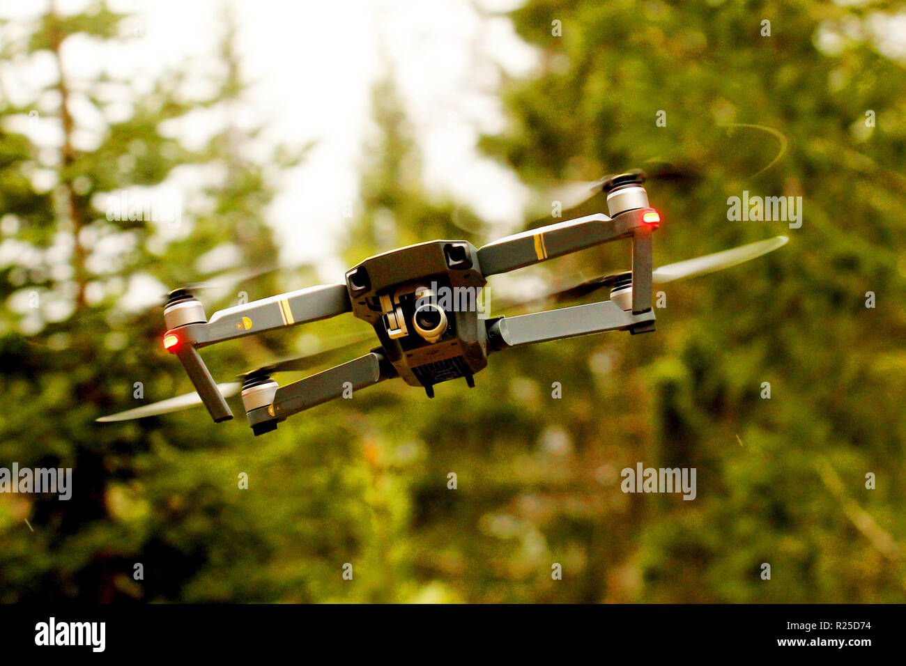 Drone autonome mécanique (ou maladie) Banque D'Images