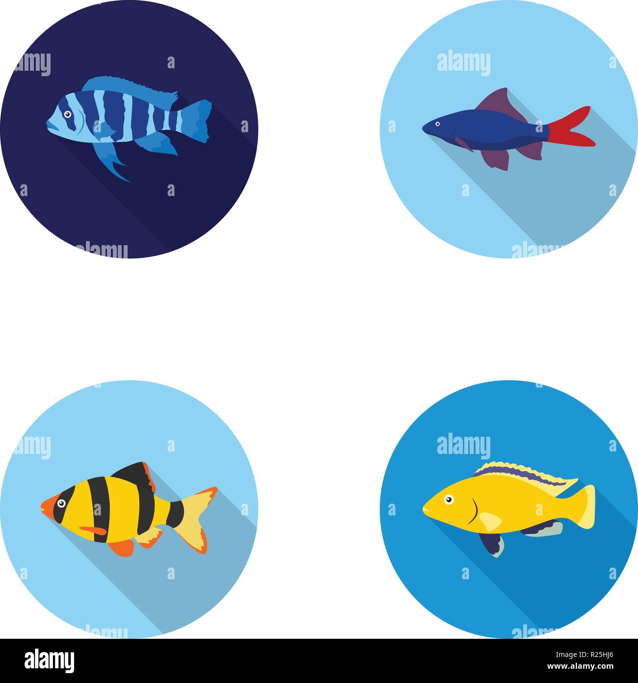 ,Aquarium de cichlidés,botia clown,collection,poisson,télévision,,guppy,icône,hummingbird,illustration,logo,isolé,mer,piranha,set,signer,vecteur symbole,web,vecteurs vecteur, , Illustration de Vecteur