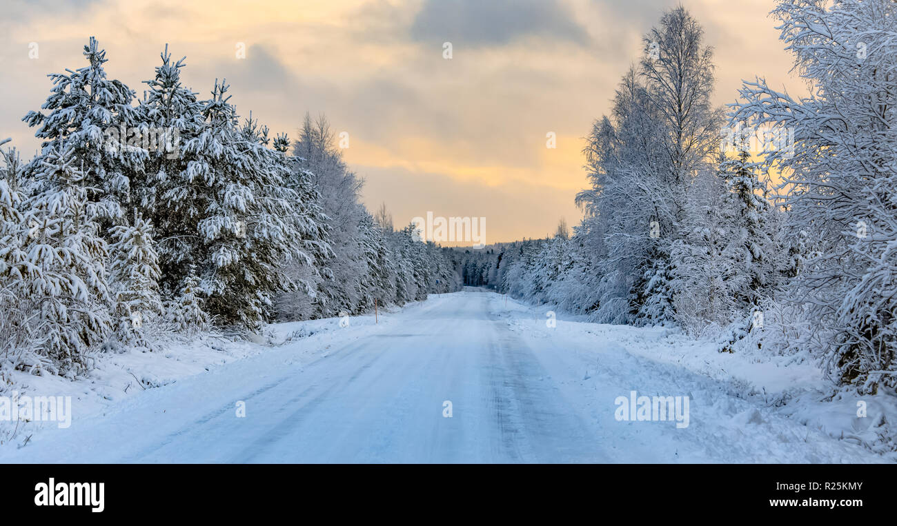 Coucher du soleil d'hiver sur la route de Sotkamo, Finlande. Banque D'Images