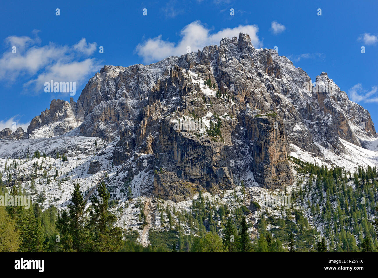 Vue sur la chaîne de montagnes Cadini di Misurina, Dolomites de Sexten, province du Tyrol du Sud, l'Alto Adige, Italie Banque D'Images