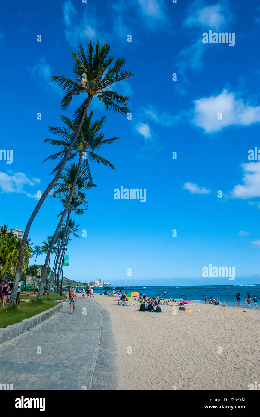 La plage de Waikiki, Hawaii, USA, Oahau Banque D'Images