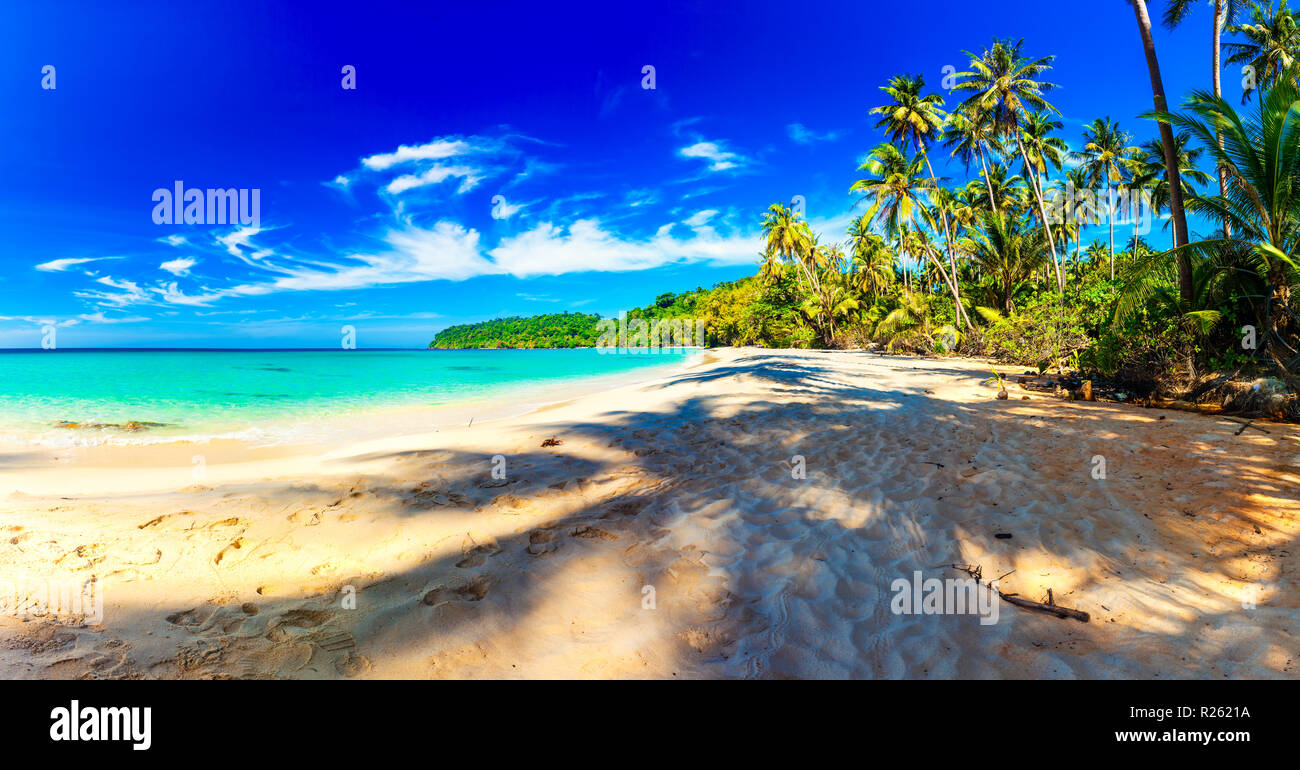 Nature paysage panoramique Panorama : Sandy plage tropicale avec palmiers de noix de coco et l'eau de mer cristalline sur fond bleu ciel d'été Banque D'Images