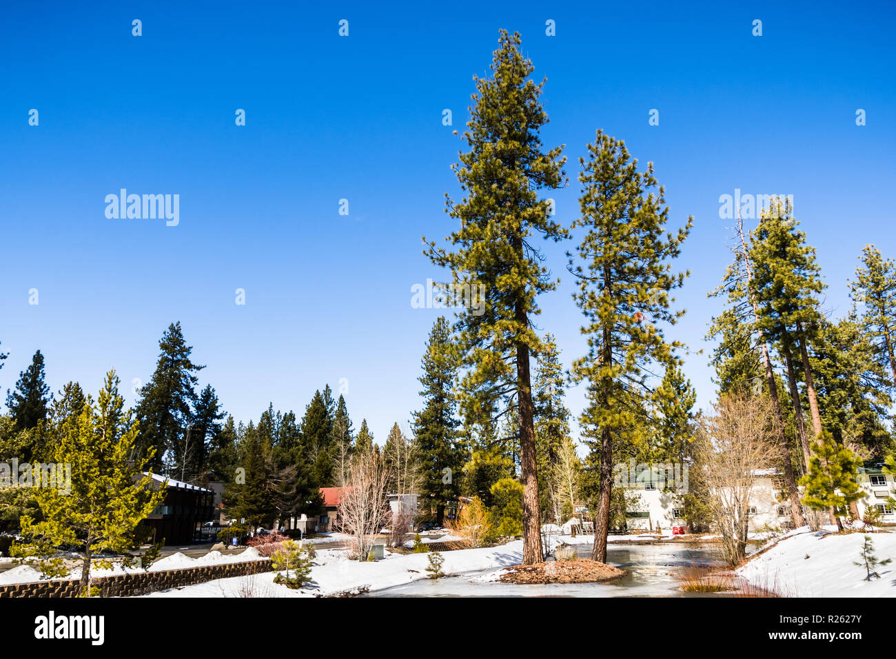 Paysage dans un quartier résidentiel de South Lake Tahoe sur une journée d'hiver ensoleillée, en Californie Banque D'Images