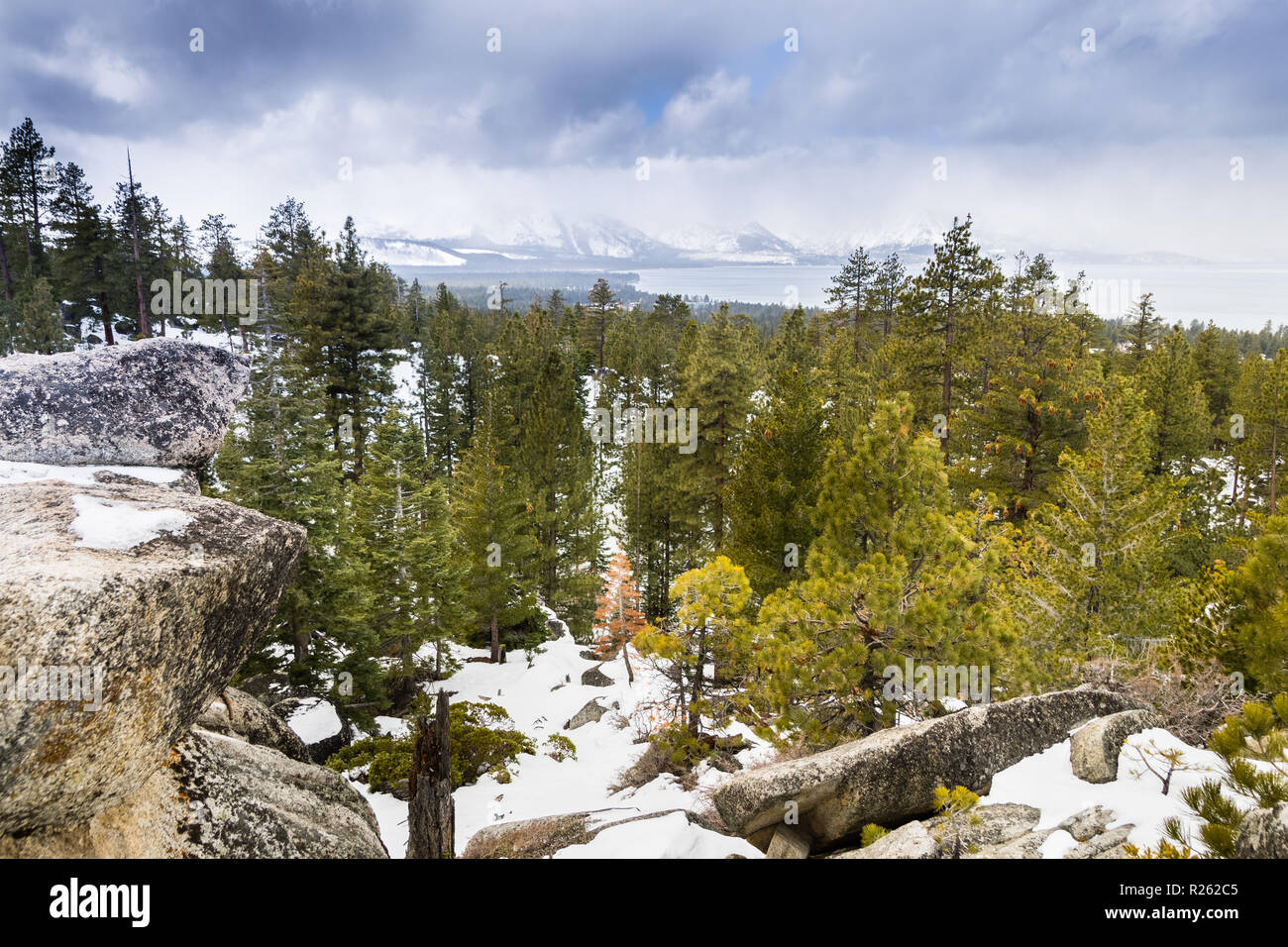 Nuageux jour de printemps avec de la neige qui couvre la Sierra Montagnes, Lac Tahoe en arrière-plan ; Van Sickle Bi-State Park, Californie Banque D'Images