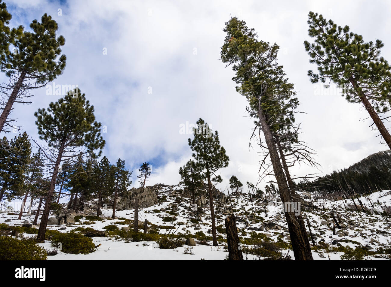 Paysage dans Van Sickle Bi-State Park sur une journée d'hiver avec des conditions météorologiques ; South Lake Tahoe, en Californie Banque D'Images