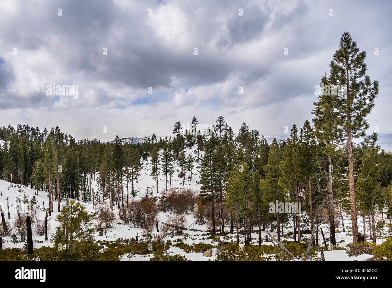 Jour couvert dans Van Sickle Bi-State Park, South Lake Tahoe, en Californie Banque D'Images