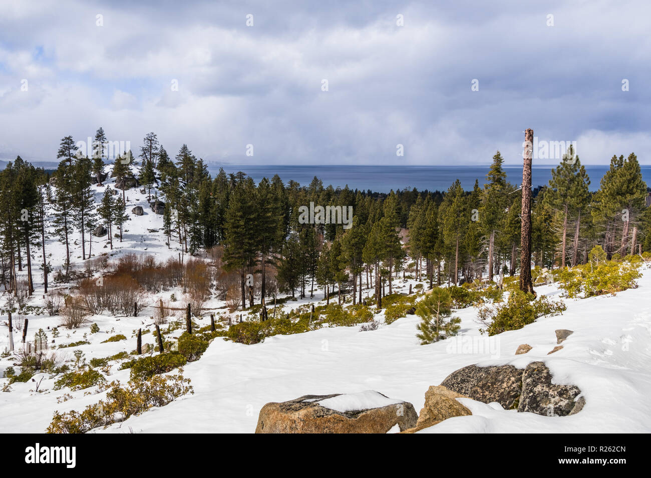 Nuageux jour de printemps avec de la neige qui couvre la Sierra Montagnes, Lac Tahoe en arrière-plan ; Van Sickle Bi-State Park, Californie et Nevada Banque D'Images