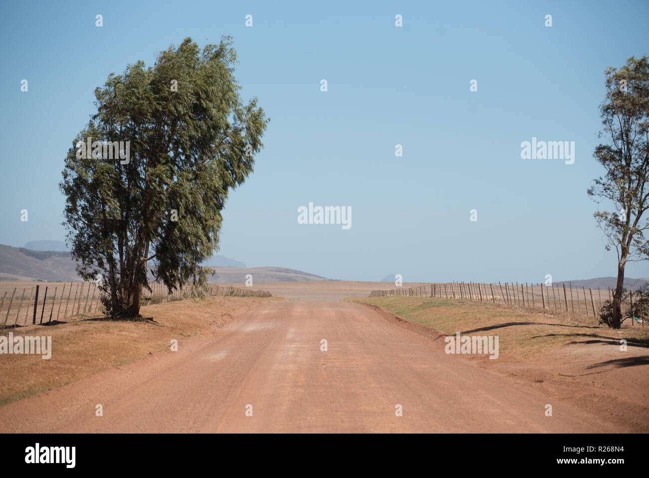 Route poussiéreuse, près de Cape Town, Afrique du Sud Banque D'Images