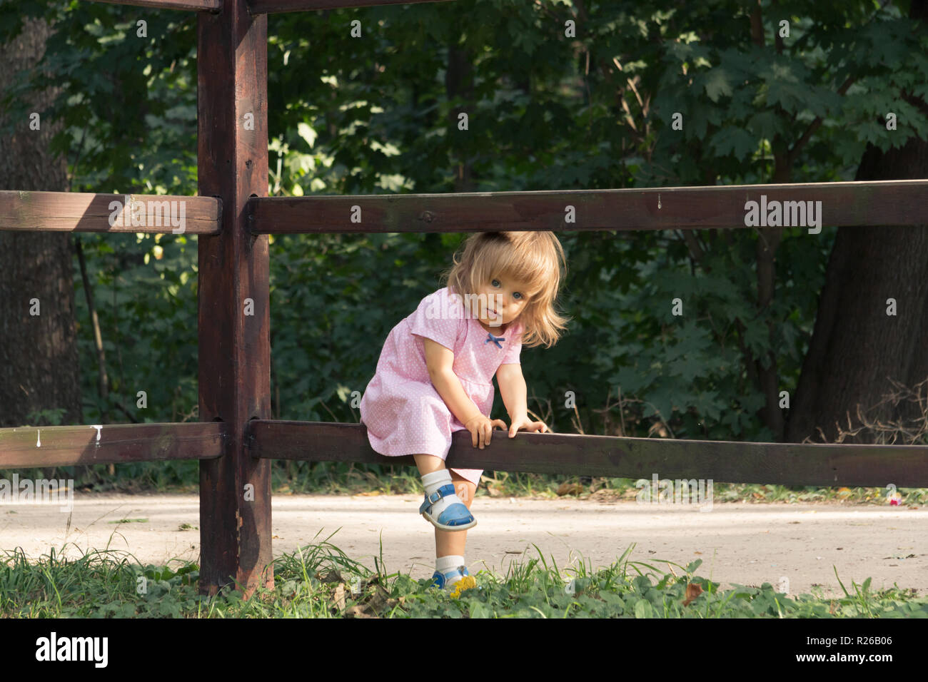 Petite fille blonde en robe rose grimpant sur la clôture en bois dans la journée d'été sur le fond de la forêt. Vocation dans le village. Bébé d'un an à pied Banque D'Images