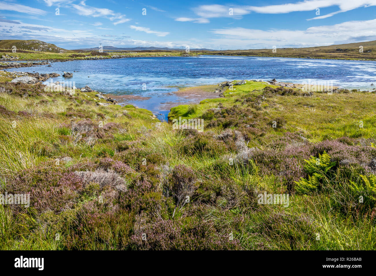 Paysage panoramique avec Heather blossom, Conte de Knoll à pied et pique-nique, North Uist, îles Hébrides, Ecosse, Royaume-Uni, Europe Banque D'Images