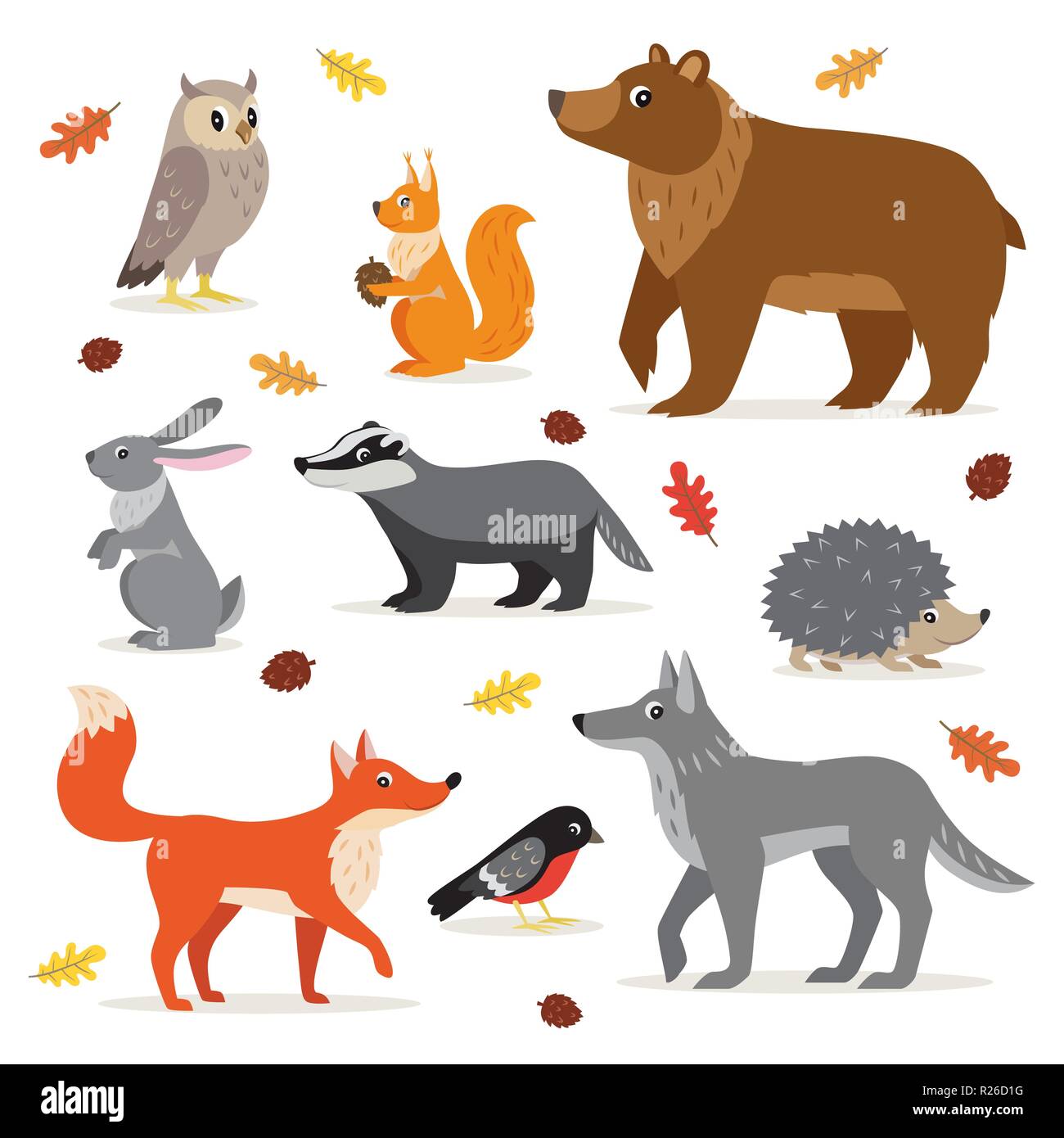 Ensemble de forêt, isoler les animaux forestiers vector illustration Illustration de Vecteur