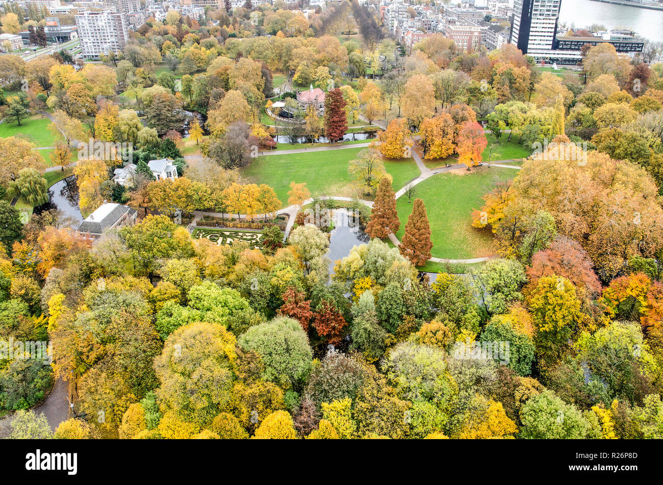 Rotterdam, Pays-Bas, le 12 novembre 2018 : Vue aérienne du parc à l'automne, avec une grande variété d'arbres, dans la ville animée, près de couleurs psychédéliques Banque D'Images