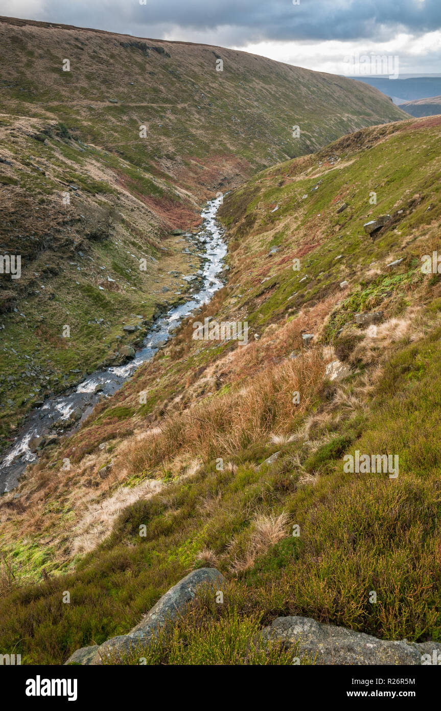 Crowden Brook, dans la grande vallée Crowden, Peak District National Park, Royaume-Uni Banque D'Images